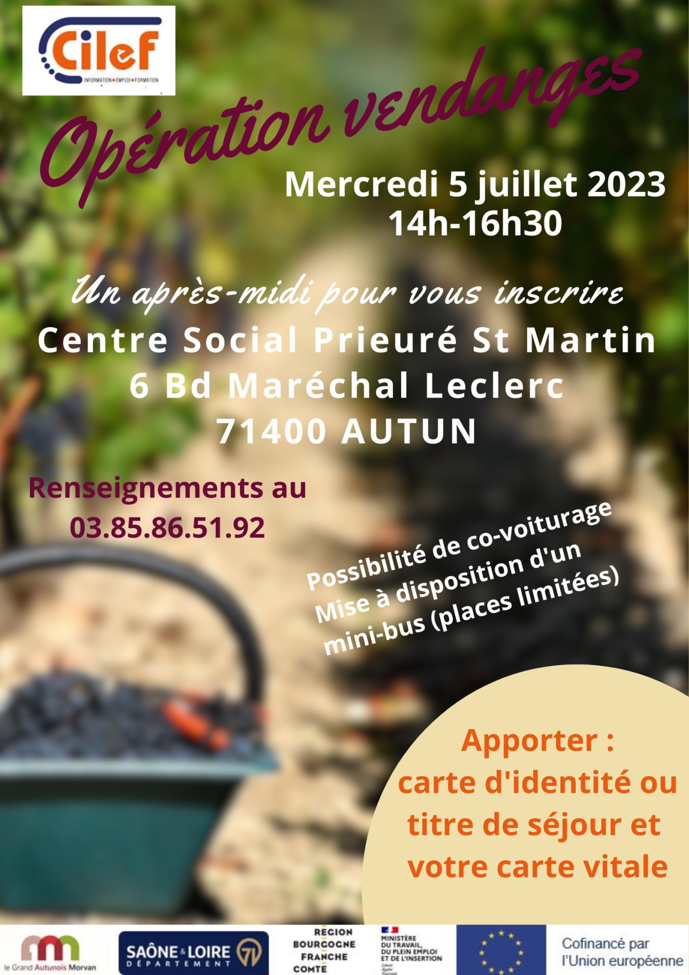 Comme chaque année, le CILEF organise une « opération vendanges »