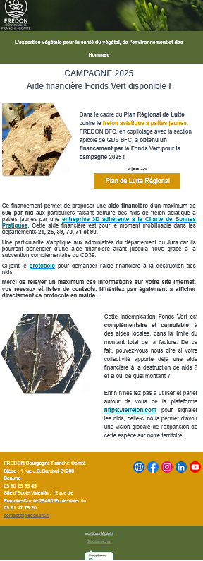  protocole_Frelon asiatique à pattes jaunes : aide financière Fonds Vert disponible